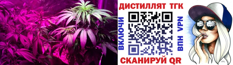 Купить где  Усинск  ТГК концентрат 